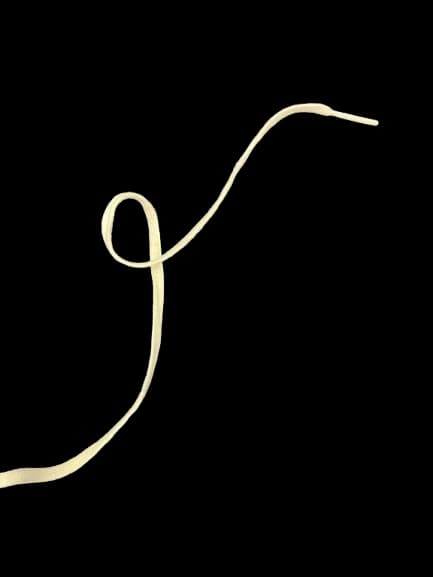 Shoelace